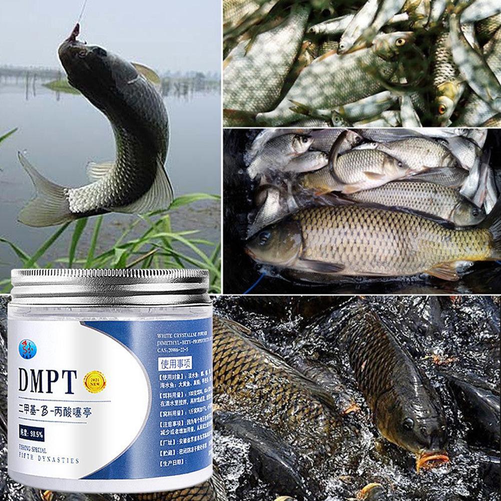 50g Real DMPT High Purity Fish - Fishing Equipment For Sale review and price