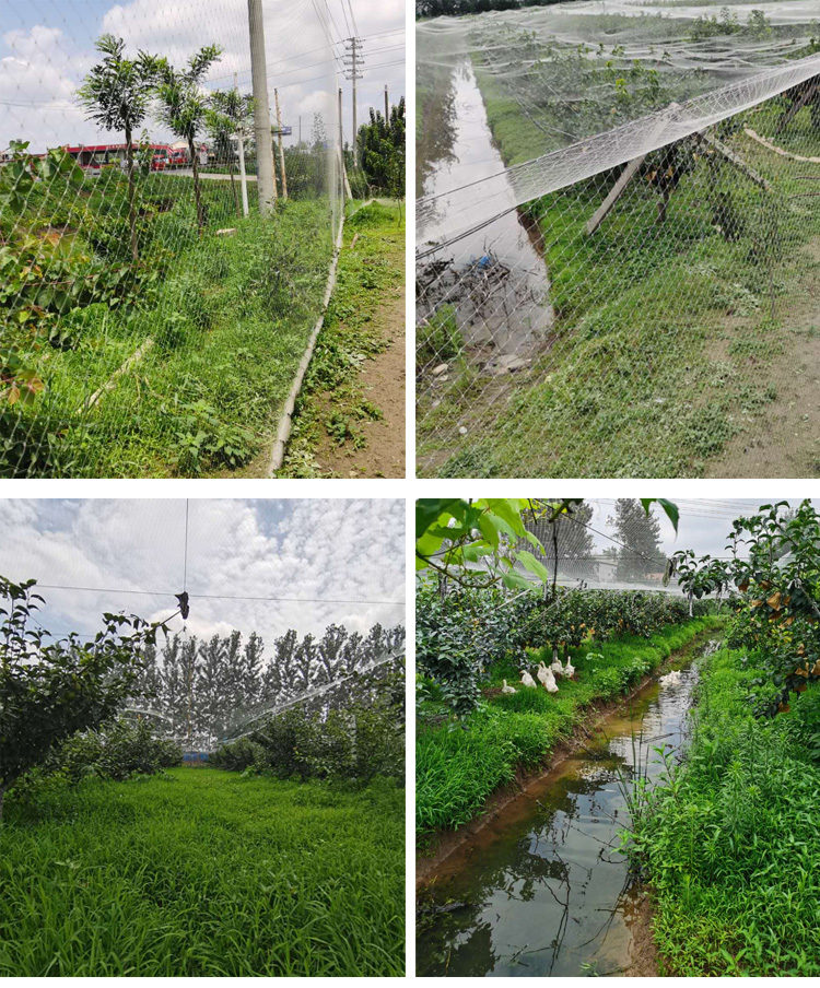 Heavy Duty Nylon Netting, Knot - Fishing Equipment Net review and price