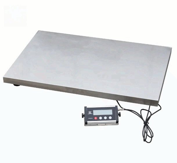 on Sale Fishing Scale Pet Scal - Fishing Equipment For Sale review and price