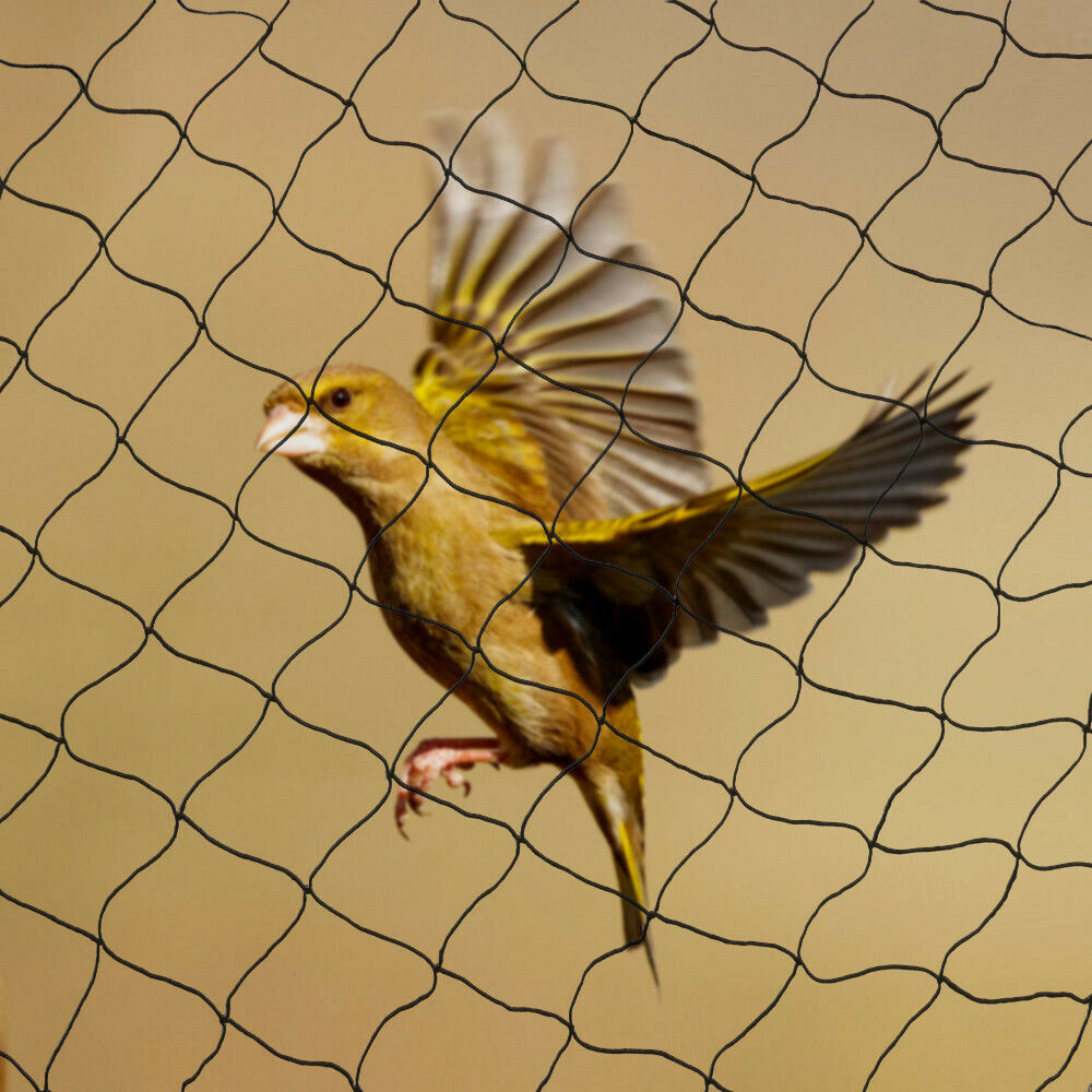30*15M Bird Netting Agricultur - Fishing Equipment Net review and price